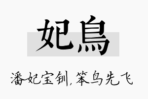 妃鸟名字的寓意及含义