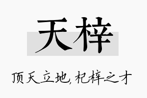 天梓名字的寓意及含义