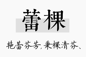 蕾棵名字的寓意及含义