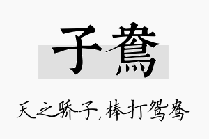 子鸯名字的寓意及含义