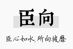 臣向名字的寓意及含义