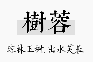 树蓉名字的寓意及含义