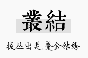 丛结名字的寓意及含义