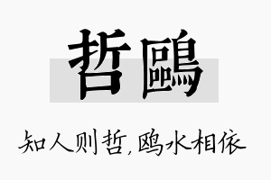 哲鸥名字的寓意及含义