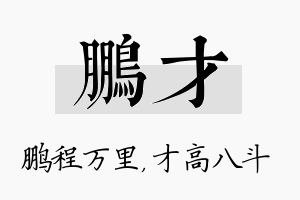 鹏才名字的寓意及含义