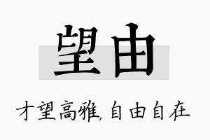 望由名字的寓意及含义