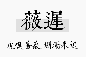 薇迟名字的寓意及含义