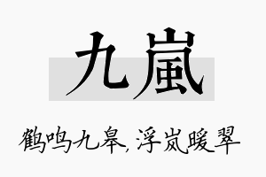 九岚名字的寓意及含义