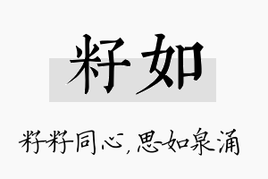 籽如名字的寓意及含义