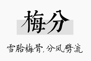 梅分名字的寓意及含义