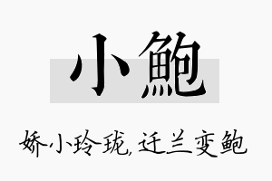 小鲍名字的寓意及含义