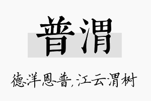 普渭名字的寓意及含义