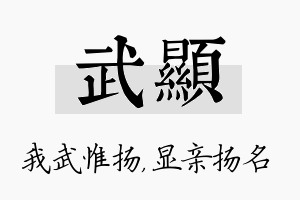 武显名字的寓意及含义