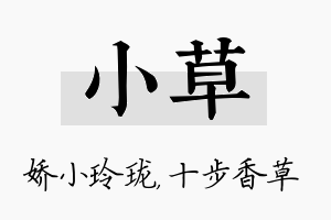 小草名字的寓意及含义