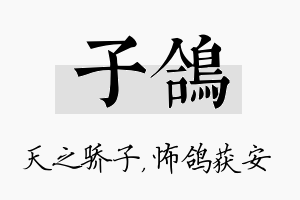 子鸽名字的寓意及含义