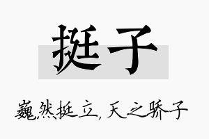 挺子名字的寓意及含义