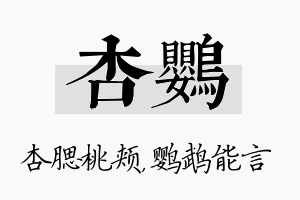 杏鹦名字的寓意及含义