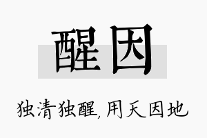 醒因名字的寓意及含义