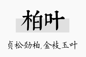 柏叶名字的寓意及含义