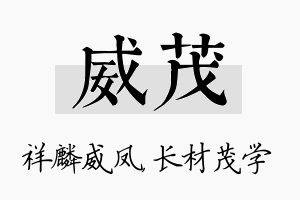 威茂名字的寓意及含义