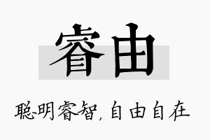 睿由名字的寓意及含义