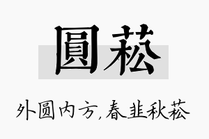 圆菘名字的寓意及含义