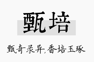 甄培名字的寓意及含义