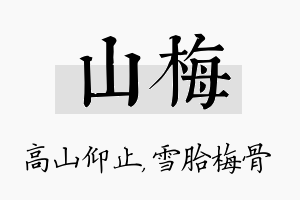 山梅名字的寓意及含义