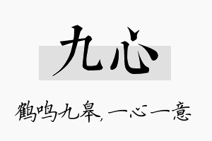 九心名字的寓意及含义