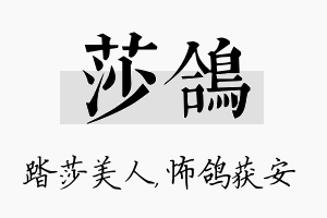 莎鸽名字的寓意及含义