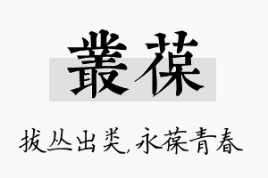 丛葆名字的寓意及含义