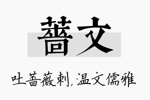 蔷文名字的寓意及含义