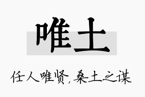 唯土名字的寓意及含义