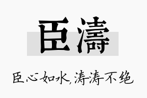 臣涛名字的寓意及含义