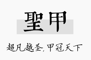 圣甲名字的寓意及含义