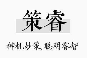 策睿名字的寓意及含义