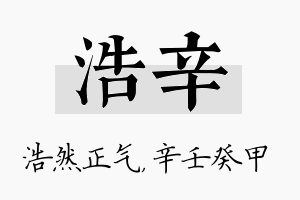 浩辛名字的寓意及含义