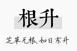 根升名字的寓意及含义