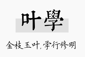 叶学名字的寓意及含义