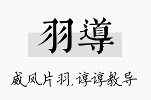 羽导名字的寓意及含义