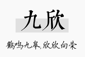 九欣名字的寓意及含义