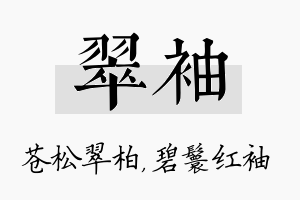 翠袖名字的寓意及含义