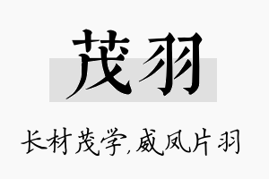 茂羽名字的寓意及含义