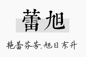 蕾旭名字的寓意及含义