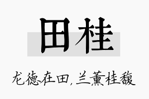 田桂名字的寓意及含义