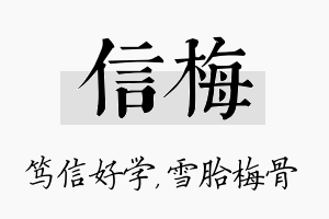 信梅名字的寓意及含义