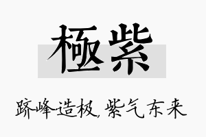 极紫名字的寓意及含义