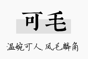 可毛名字的寓意及含义