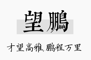 望鹏名字的寓意及含义