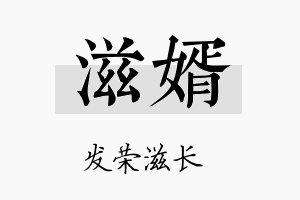 滋婿名字的寓意及含义